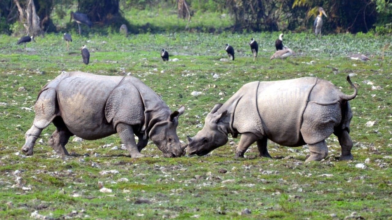 Dudhwa National Park