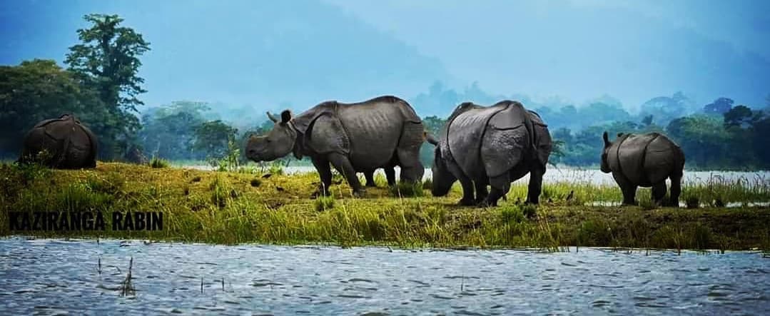 Kaziranga National Park